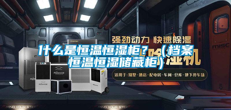 什么是恒溫恒濕柜？（檔案恒溫恒濕儲藏柜）
