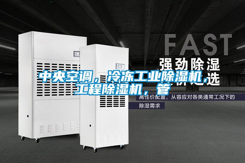 中央空調，冷凍工業(yè)除濕機，工程除濕機，管