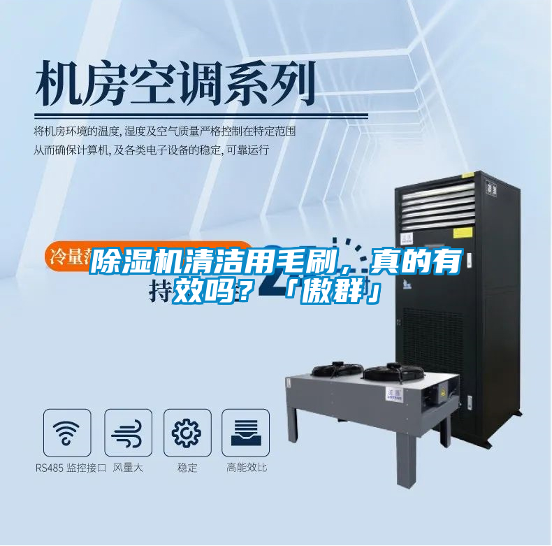 除濕機清潔用毛刷，真的有效嗎？「傲群」