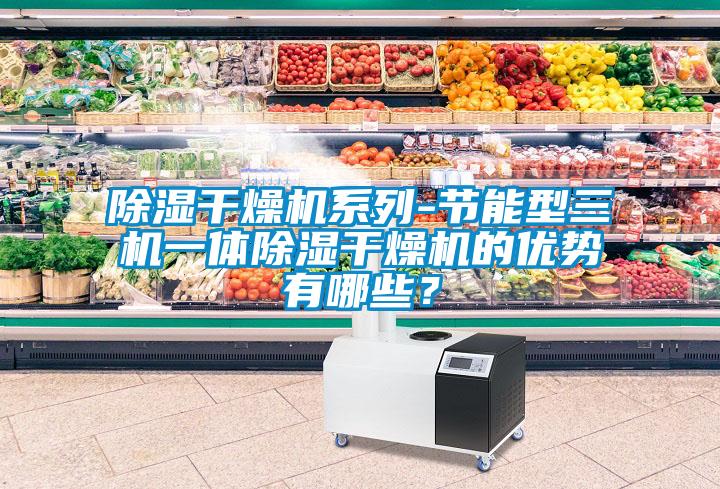 除濕干燥機系列-節(jié)能型三機一體除濕干燥機的優(yōu)勢有哪些？
