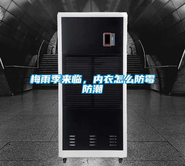 梅雨季來臨，內衣怎么防霉防潮