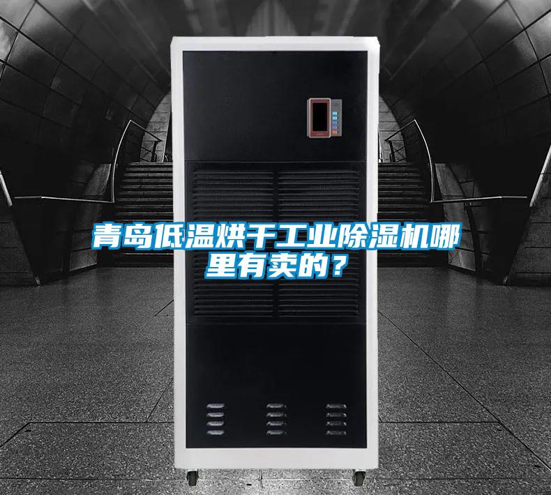 青島低溫烘干工業(yè)除濕機(jī)哪里有賣的？