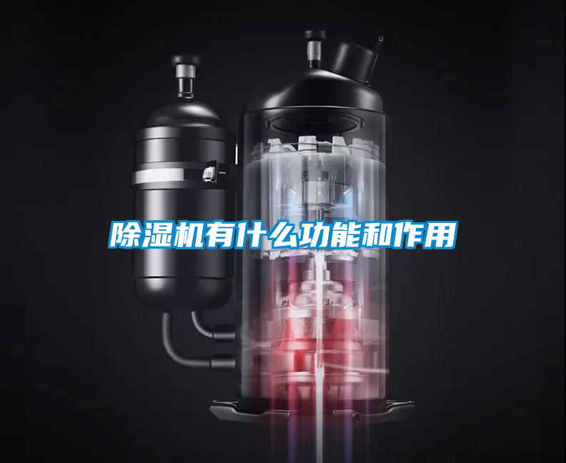除濕機(jī)有什么功能和作用