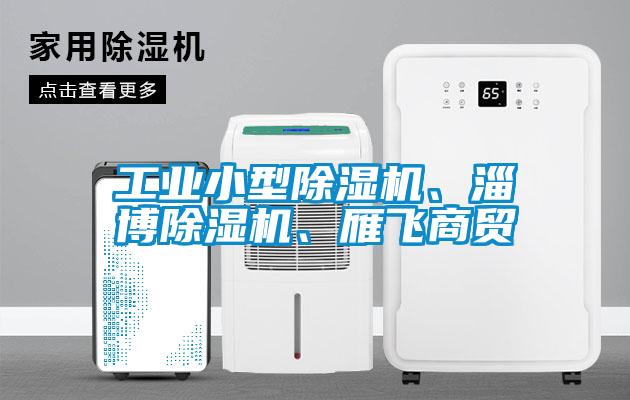 工業(yè)小型除濕機、淄博除濕機、雁飛商貿(mào)