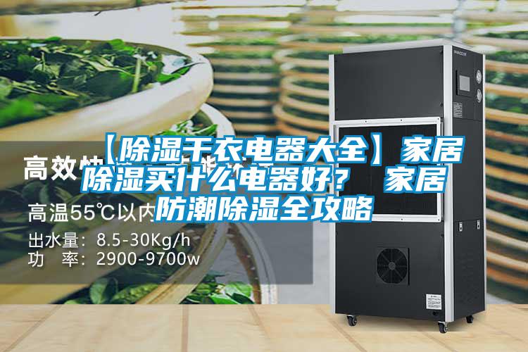 【除濕干衣電器大全】家居除濕買什么電器好？ 家居防潮除濕全攻略