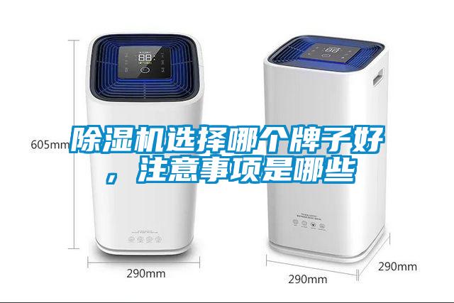 除濕機(jī)選擇哪個牌子好，注意事項是哪些