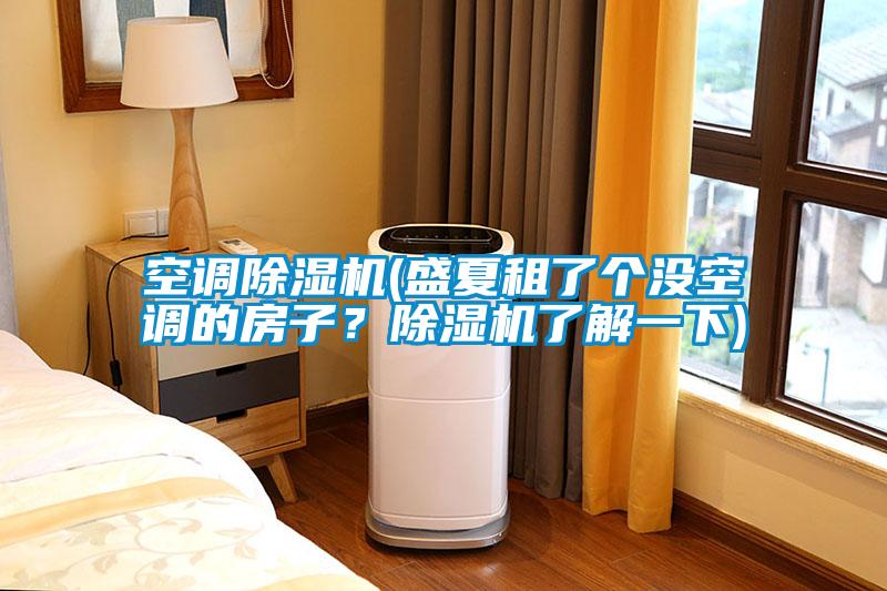 空調除濕機(盛夏租了個沒空調的房子？除濕機了解一下)