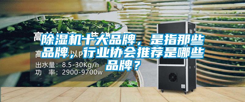 除濕機(jī)十大品牌，是指那些品牌，行業(yè)協(xié)會推薦是哪些品牌？