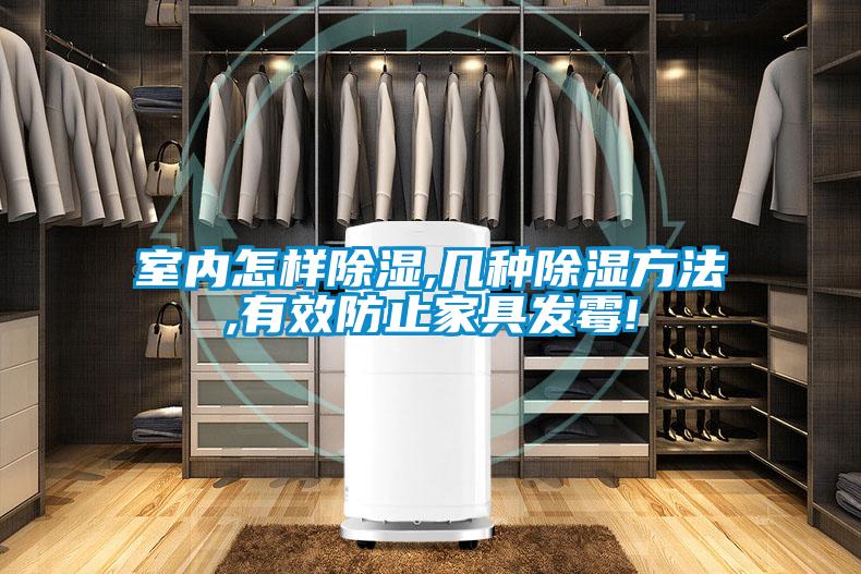 室內怎樣除濕,幾種除濕方法,有效防止家具發(fā)霉!