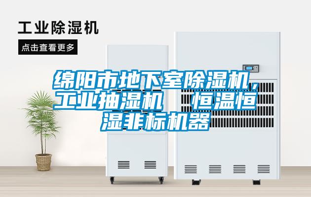 綿陽市地下室除濕機，工業抽濕機  恒溫恒濕非標機器