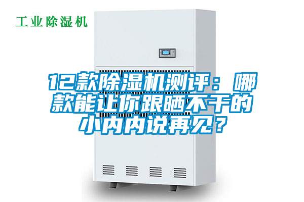 12款除濕機(jī)測(cè)評(píng)：哪款能讓你跟曬不干的小內(nèi)內(nèi)說(shuō)再見(jiàn)？