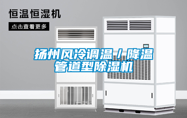揚州風(fēng)冷調(diào)溫／降溫管道型除濕機(jī)
