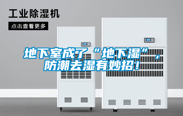 地下室成了“地下濕”，防潮去濕有妙招！