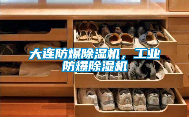 大連防爆除濕機(jī)，工業(yè)防爆除濕機(jī)
