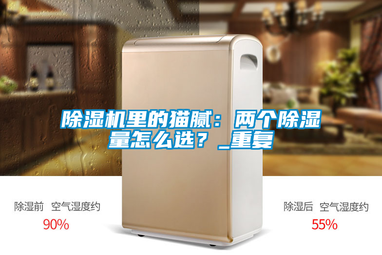 除濕機(jī)里的貓膩：兩個除濕量怎么選？_重復(fù)