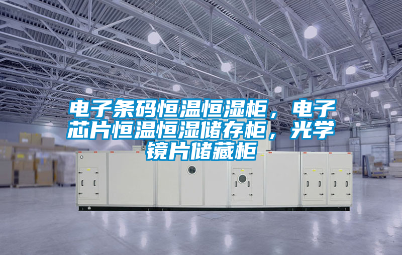 電子條碼恒溫恒濕柜，電子芯片恒溫恒濕儲存柜，光學鏡片儲藏柜