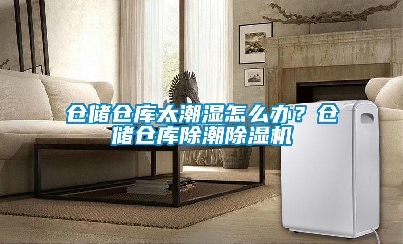 倉(cāng)儲(chǔ)倉(cāng)庫(kù)太潮濕怎么辦？倉(cāng)儲(chǔ)倉(cāng)庫(kù)除潮除濕機(jī)