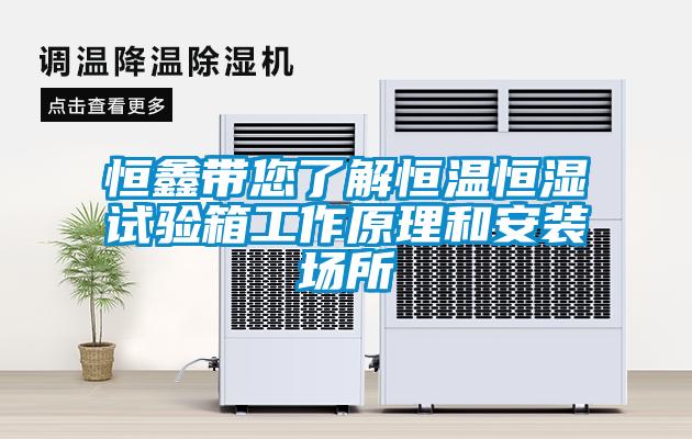 恒鑫帶您了解恒溫恒濕試驗(yàn)箱工作原理和安裝場(chǎng)所