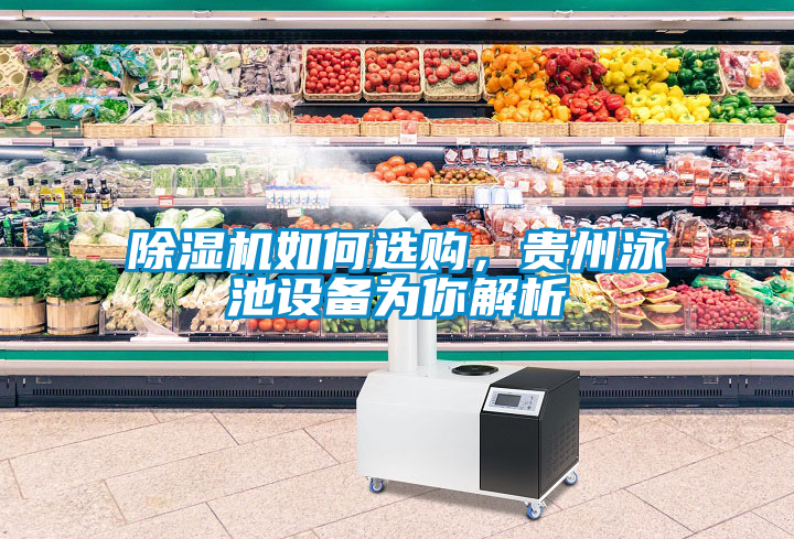 除濕機如何選購，貴州泳池設備為你解析