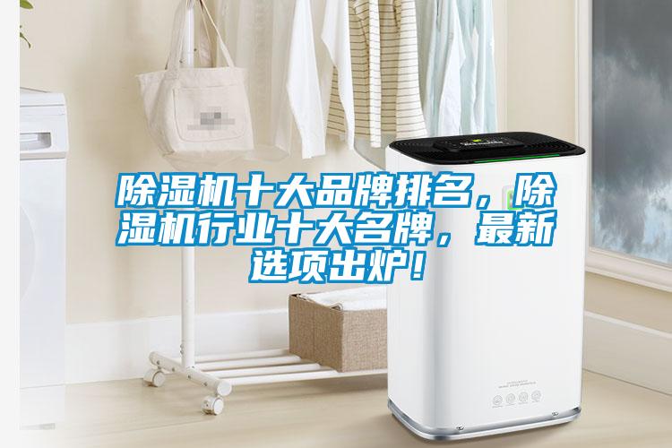 除濕機(jī)十大品牌排名，除濕機(jī)行業(yè)十大名牌，最新選項(xiàng)出爐！