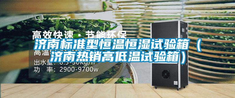 濟南標(biāo)準(zhǔn)型恒溫恒濕試驗箱（濟南熱銷高低溫試驗箱）