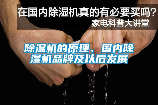 除濕機的原理、國內除濕機品牌及以后發展