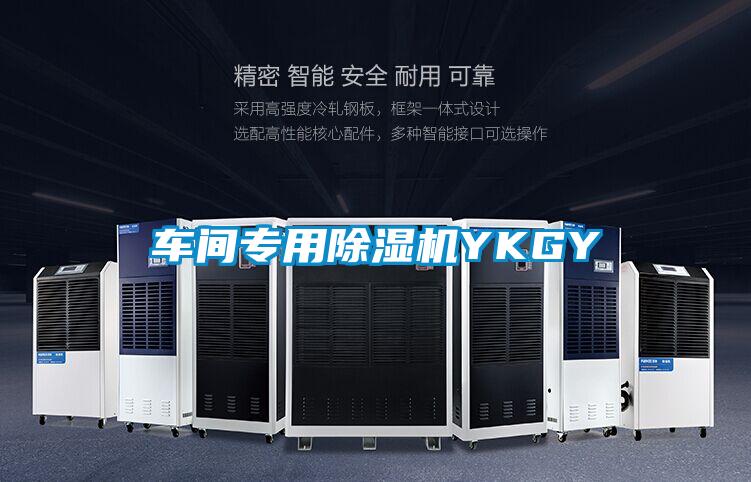 車(chē)間專(zhuān)用除濕機(jī)YKGY