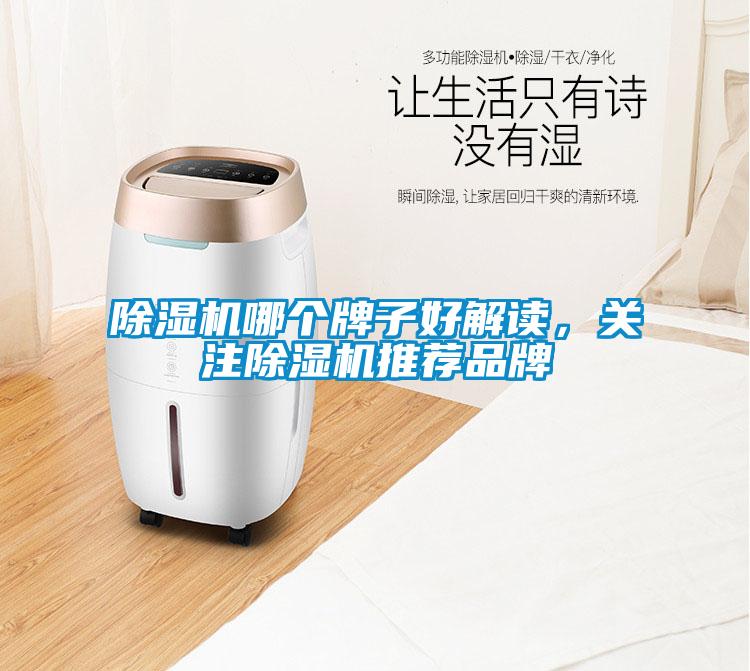 除濕機哪個牌子好解讀，關注除濕機推薦品牌