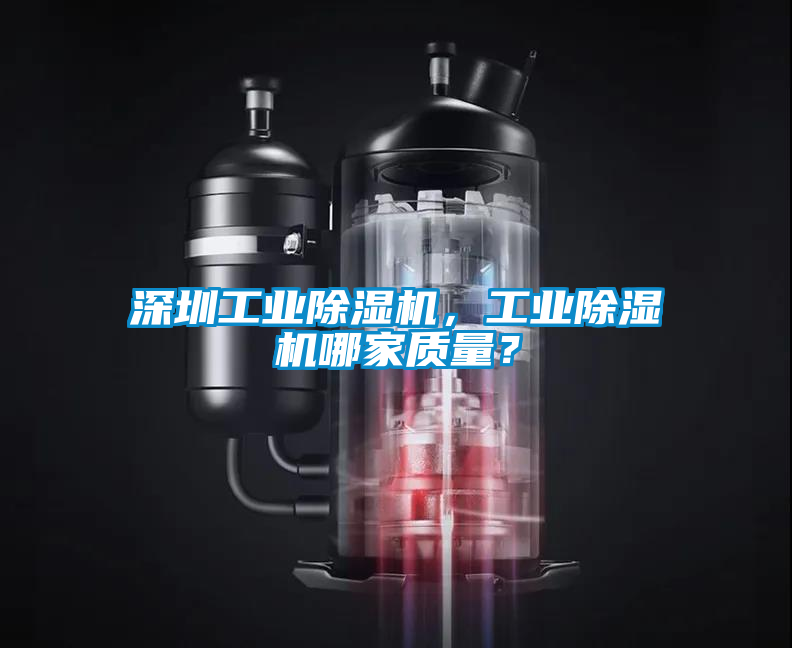 深圳工業(yè)除濕機，工業(yè)除濕機哪家質量？