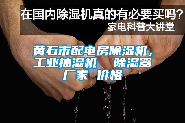 黃石市配電房除濕機，工業抽濕機  除濕器廠家 價格