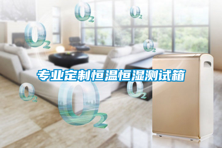專(zhuān)業(yè)定制恒溫恒濕測(cè)試箱