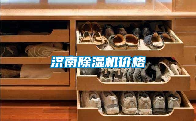 濟(jì)南除濕機(jī)價格