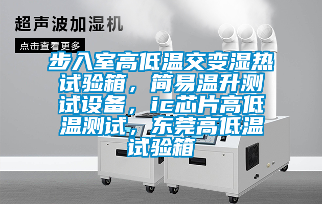 步入室高低溫交變濕熱試驗(yàn)箱，簡(jiǎn)易溫升測(cè)試設(shè)備，ic芯片高低溫測(cè)試，東莞高低溫試驗(yàn)箱