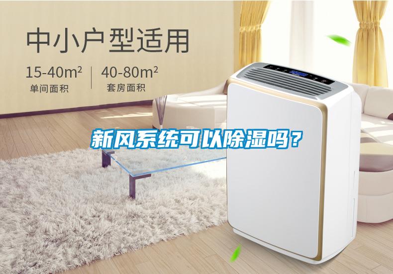 新風(fēng)系統(tǒng)可以除濕嗎？
