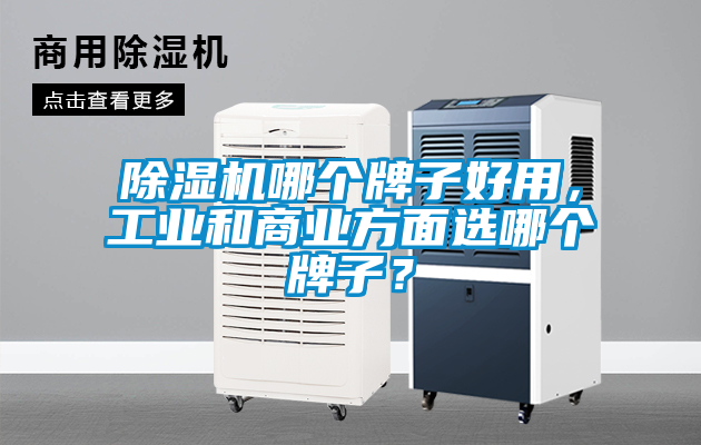 除濕機哪個牌子好用，工業和商業方面選哪個牌子？