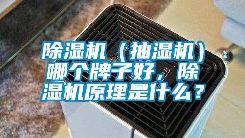 除濕機（抽濕機）哪個牌子好，除濕機原理是什么？