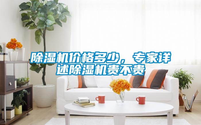 除濕機價格多少，專家詳述除濕機貴不貴