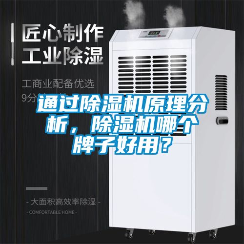 通過除濕機原理分析，除濕機哪個牌子好用？