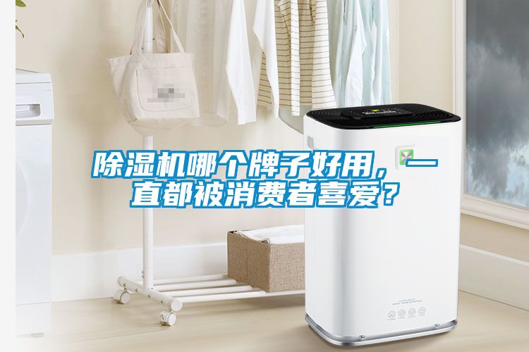 除濕機哪個牌子好用，一直都被消費者喜愛？