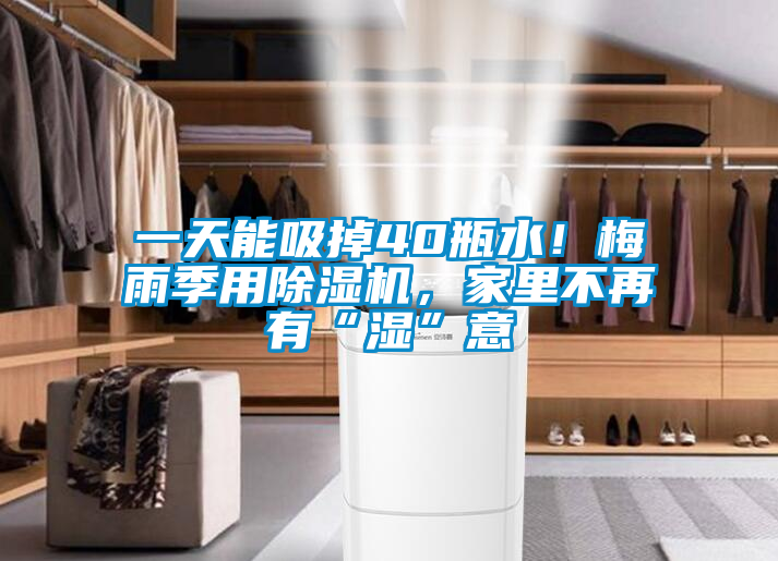 一天能吸掉40瓶水！梅雨季用除濕機(jī)，家里不再有“濕”意