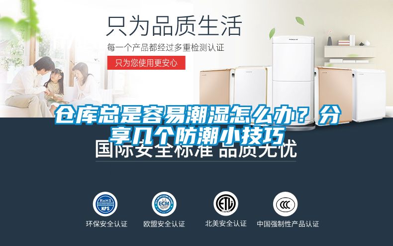倉庫總是容易潮濕怎么辦？分享幾個防潮小技巧