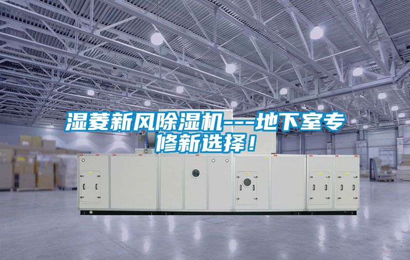 濕菱新風除濕機---地下室專修新選擇！