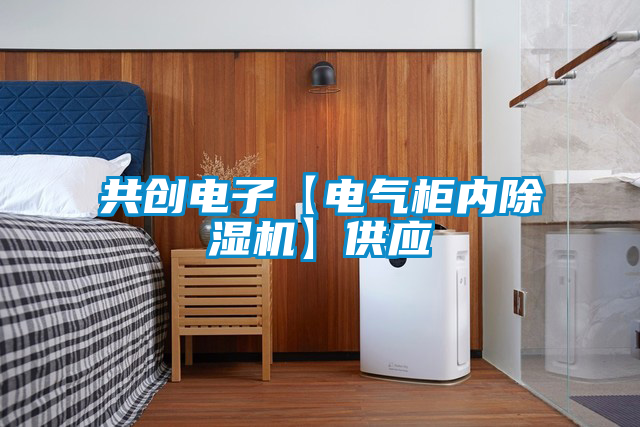 共創(chuàng)電子【電氣柜內(nèi)除濕機】供應(yīng)
