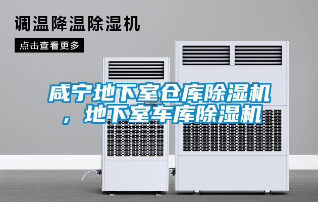 咸寧地下室倉庫除濕機，地下室車庫除濕機