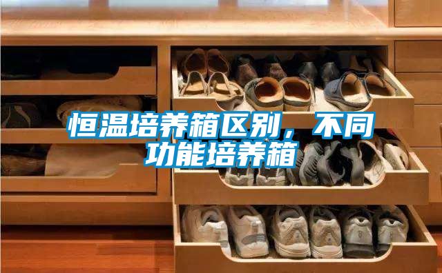 恒溫培養箱區別，不同功能培養箱