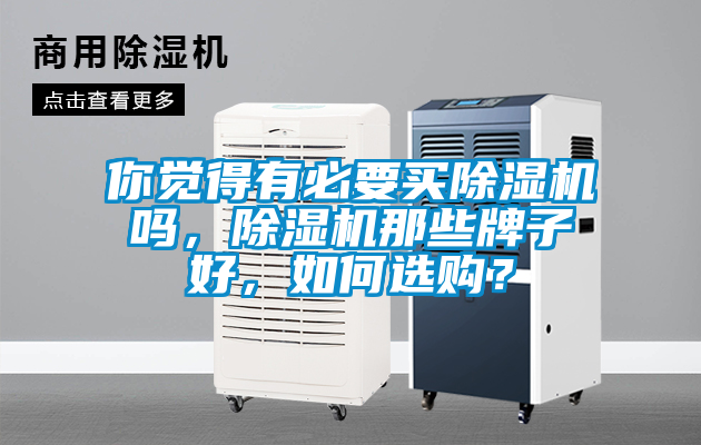 你覺得有必要買除濕機嗎，除濕機那些牌子好，如何選購？