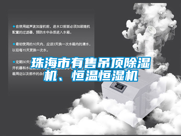 珠海市有售吊頂除濕機、恒溫恒濕機