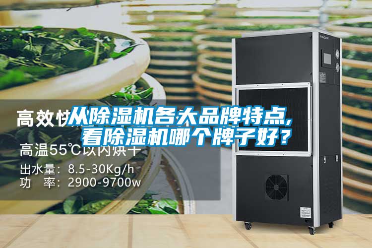 從除濕機各大品牌特點, 看除濕機哪個牌子好？