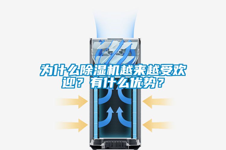 為什么除濕機(jī)越來(lái)越受歡迎？有什么優(yōu)勢(shì)？