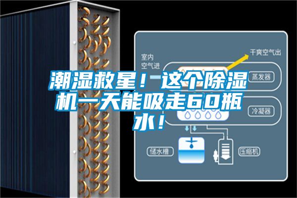 潮濕救星！這個(gè)除濕機(jī)一天能吸走60瓶水！